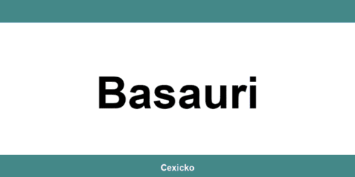 Consulta el teléfono de contacto de Correos Express en Basauri